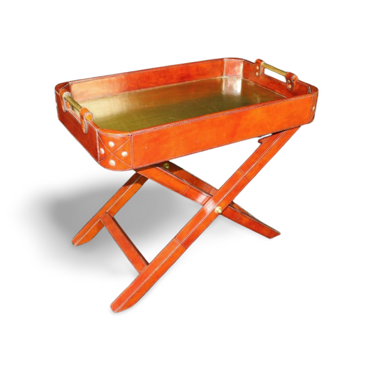 Foldable Tray table